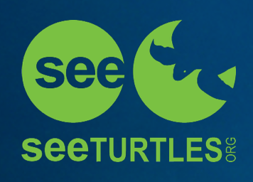 SEE TURTLES